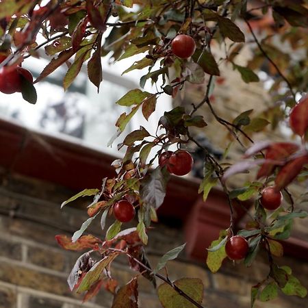 Beautiful London Home Sleeps 6, 2 Minutes To Metro Eksteriør bilde