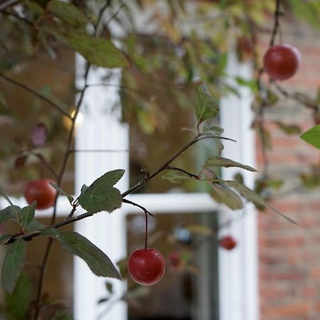 Beautiful London Home Sleeps 6, 2 Minutes To Metro Eksteriør bilde