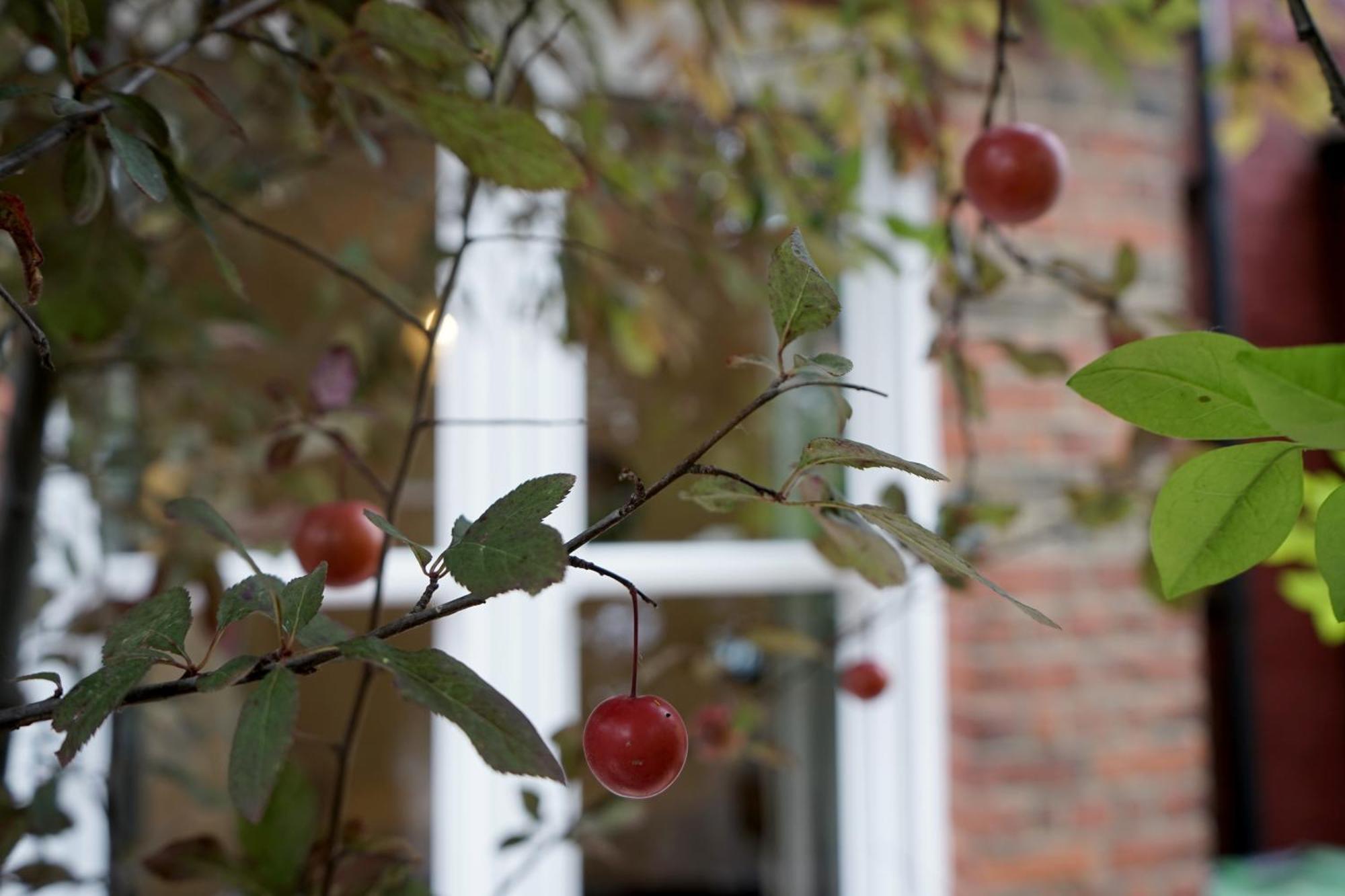 Beautiful London Home Sleeps 6, 2 Minutes To Metro Eksteriør bilde